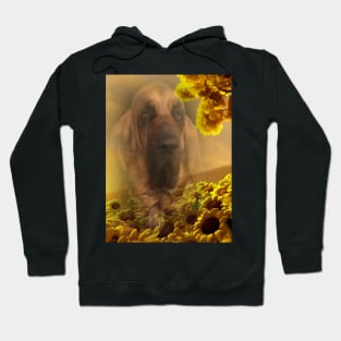 Bloodhound Dog Sunflower Hoodie